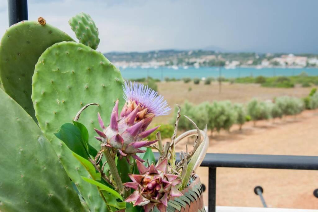 Villa Orange Tree Porto Heli Exterior foto