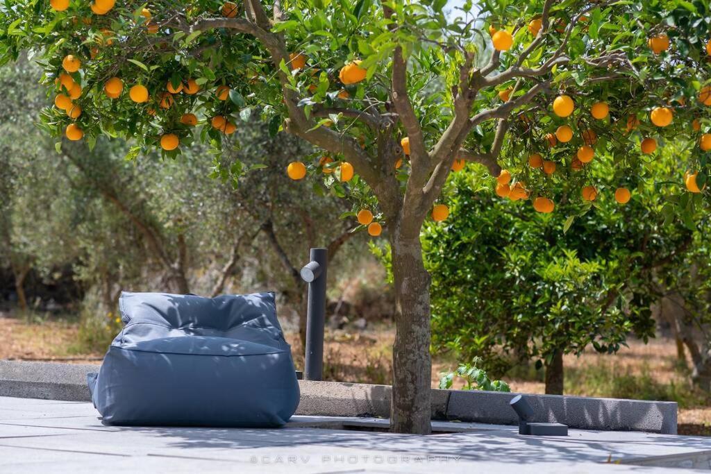 Villa Orange Tree Porto Heli Exterior foto